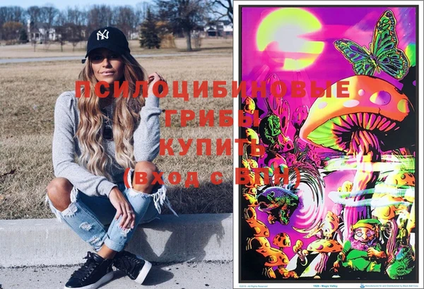 a pvp Дедовск
