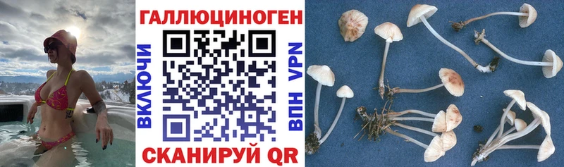 Галлюциногенные грибы прущие грибы  кракен сайт  Кушва 