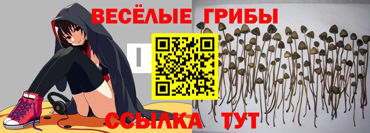 Alpha-PVP Кушва